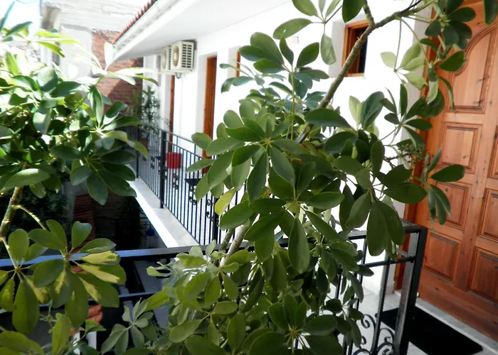 Mimoza Studios