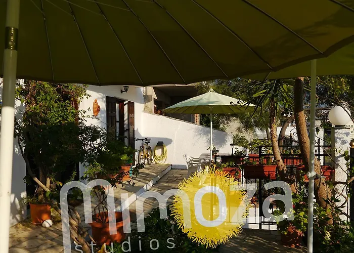 Mimoza Studios