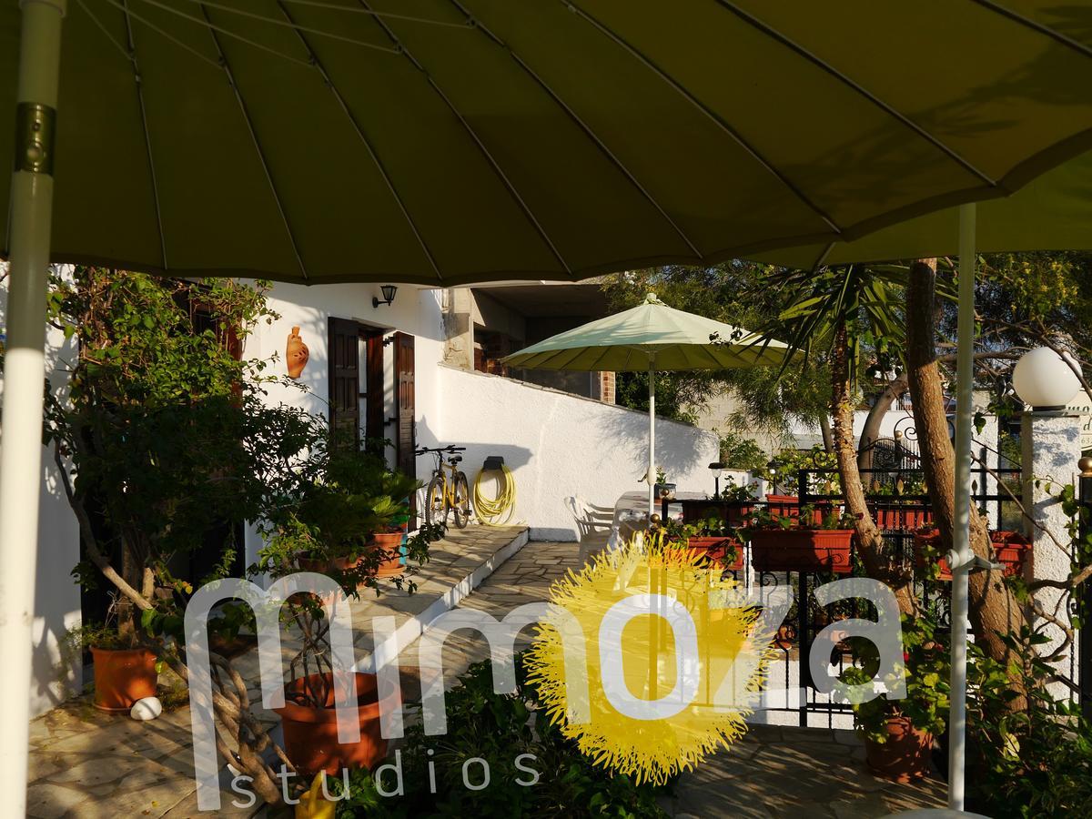 Mimoza Skiathos Town